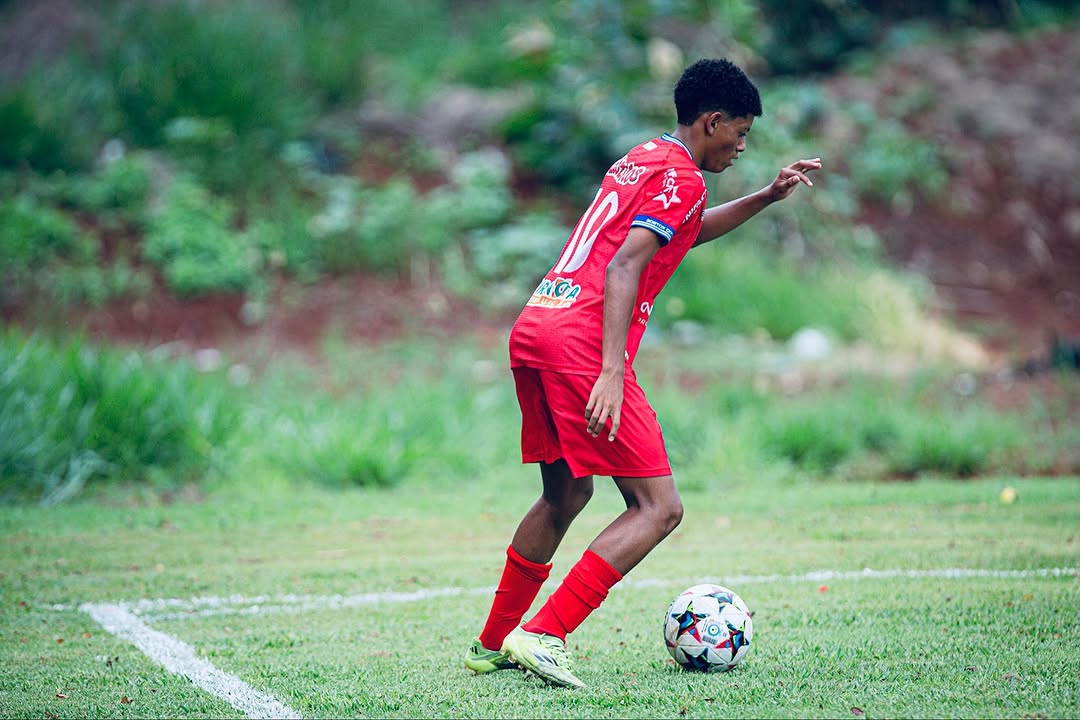 Matheus Nathanael Fernandes Alves